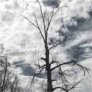 Brad Harkan - Extractions download free