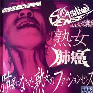 Fashion Sense / Jukjo / Haigan - 3-Way Split download free