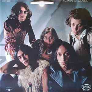Flamin' Groovies - Flamingo download free