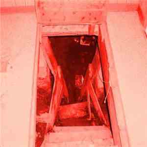 Murray The Cop - Piebrain/Brainpie download free