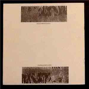 Nation Of Hate , Bastard Noise - Nation Of Hate / Bastard Noise Split 7" download free