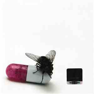 Red Hot Chili Peppers - I'm With You download free