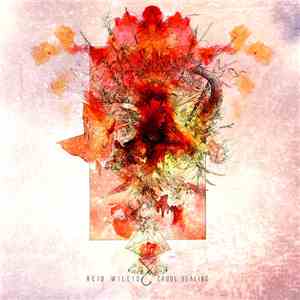 Reid Willis - Crude Healing download free