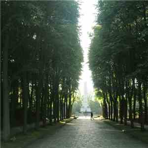 Sleepland - Plain Works Vol​.​03 download free