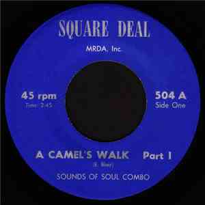 Sounds Of Soul Combo - A Camel's Walk download free