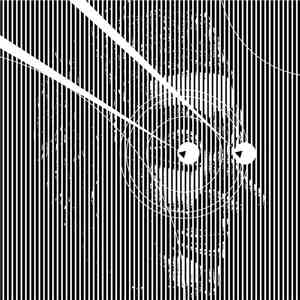 Sulumi - Too Late To Die Young (Janski Beeeats Remix) download free