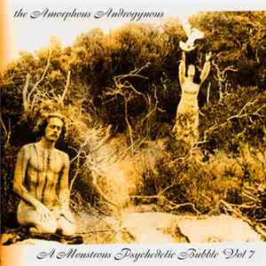 The Amorphous Androgynous - A Monstrous Psychedelic Bubble Exploding In Your Mind Vol.7 download free