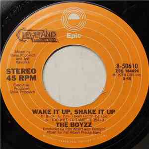 The Boyzz - Wake It Up, Shake It Up download free