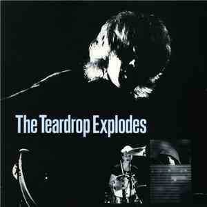 The Teardrop Explodes - You Disappear From View download free