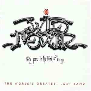 The Wildflower - Forty Years In A Blink Of An Eye download free